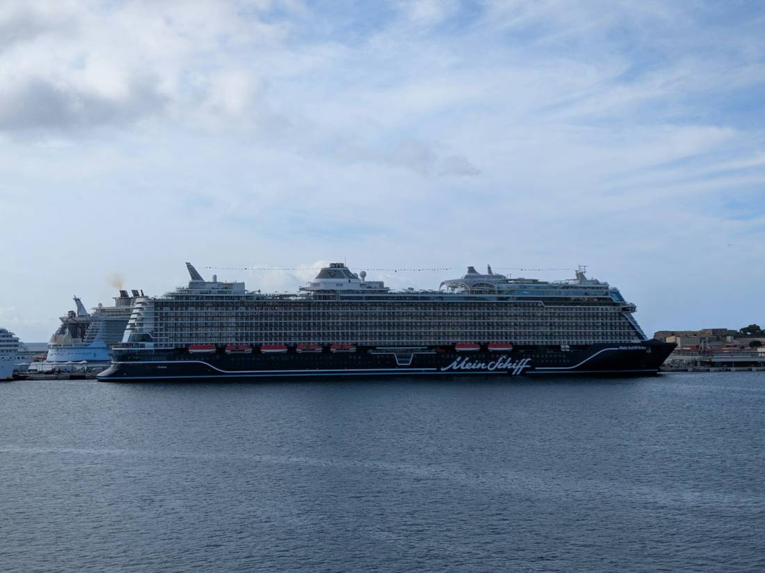 Large cruise ship docked in a harbor