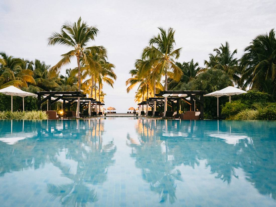 Palm trees around a resort pool